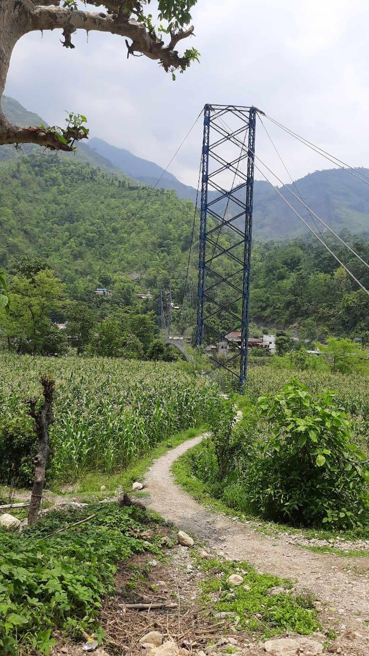 The Harmony of Mindfulness